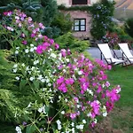 Heredad De La Cueste Country house Llenin