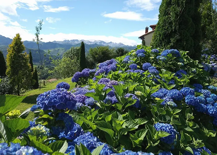Casa rural C.a. Heredad De La Cueste